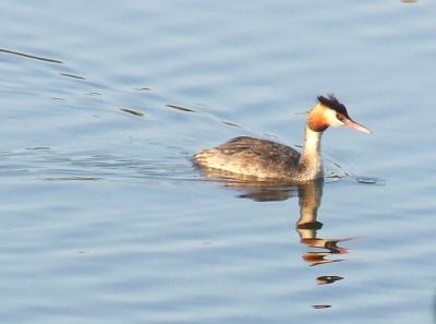 Прикрепленное изображение: 004.jpg